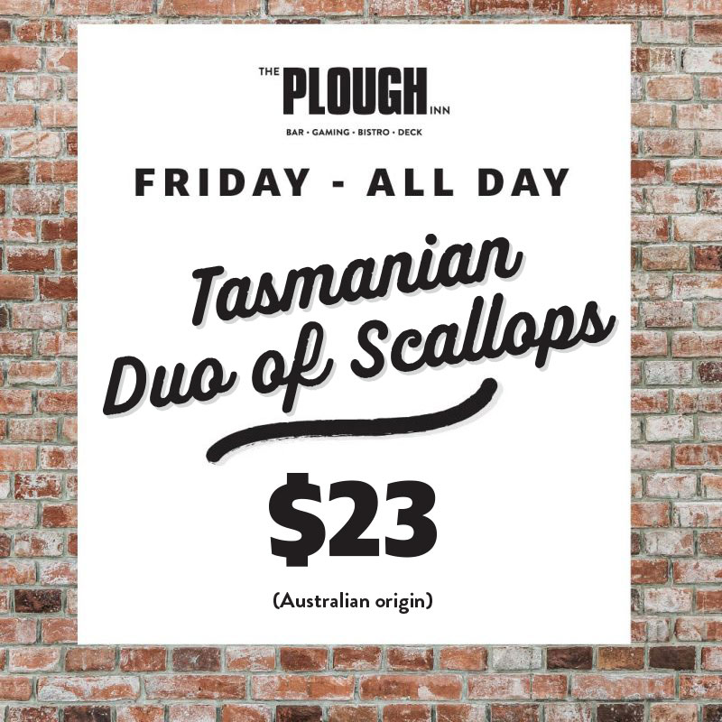 All Day Friday Duo of Scallops $22