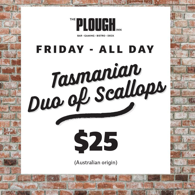 All Day Friday Duo of Scallops $22